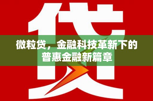 海端微粒贷，金融科技革新下的普惠金融新篇章