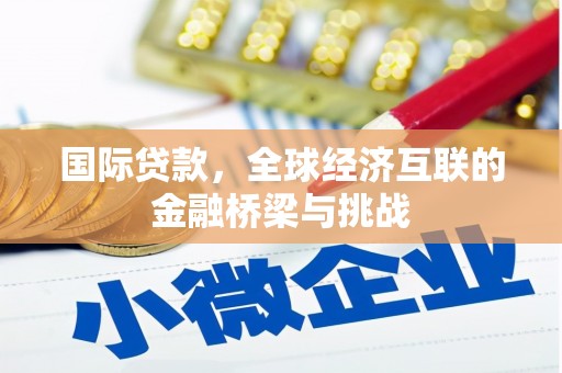 海端国际贷款，全球经济互联的金融桥梁与挑战