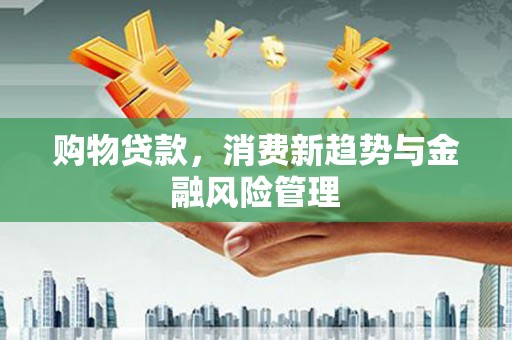 海端购物贷款，消费新趋势与金融风险管理