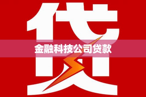 海端金融科技公司贷款