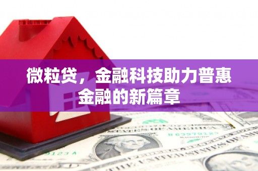 海端微粒贷，金融科技助力普惠金融的新篇章