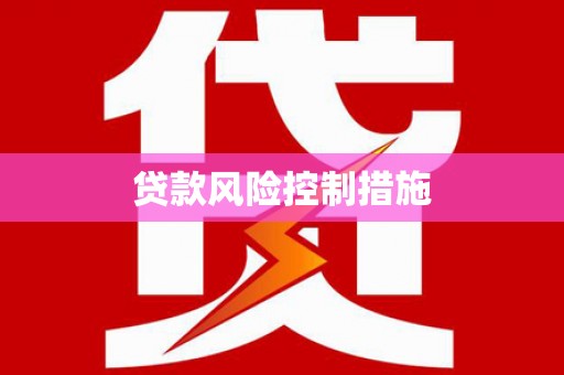 海端贷款风险控制措施