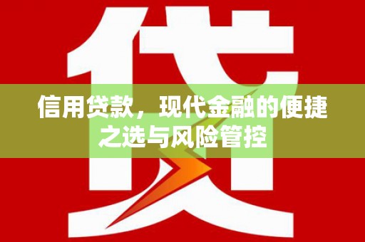 海端信用贷款，现代金融的便捷之选与风险管控