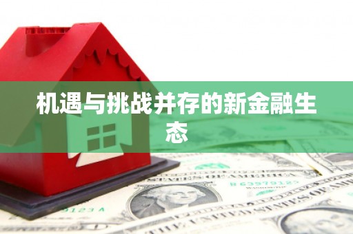 海端机遇与挑战并存的新金融生态