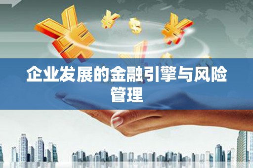 海端企业发展的金融引擎与风险管理