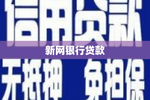 海端新网银行贷款