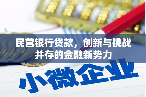 海端民营银行贷款，创新与挑战并存的金融新势力