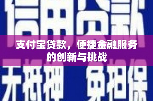 海端支付宝贷款，便捷金融服务的创新与挑战