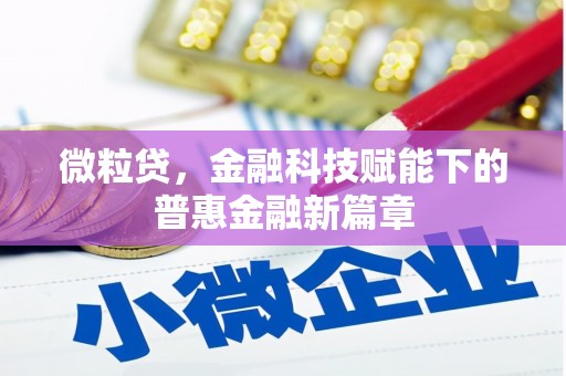 海端微粒贷，金融科技赋能下的普惠金融新篇章