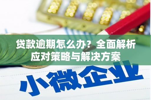 海端贷款逾期怎么办？全面解析应对策略与解决方案