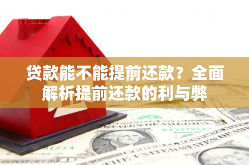 海端贷款能不能提前还款？全面解析提前还款的利与弊