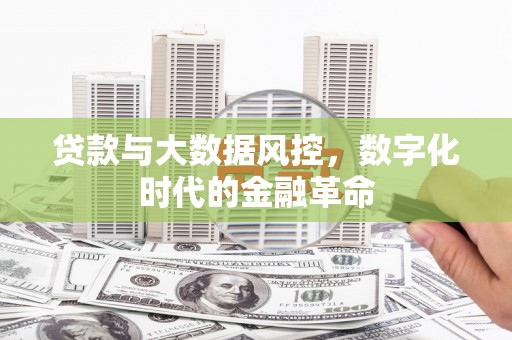 海端贷款与大数据风控，数字化时代的金融革命
