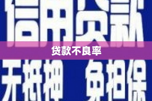 海端贷款不良率