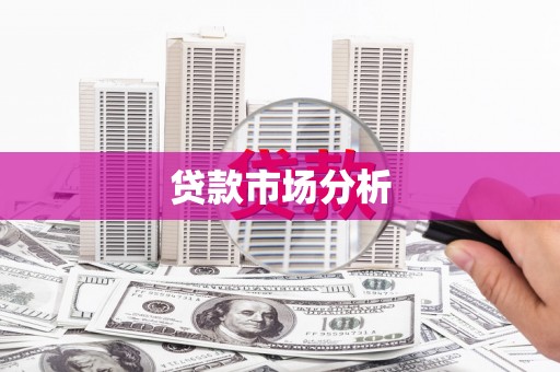 海端贷款市场分析