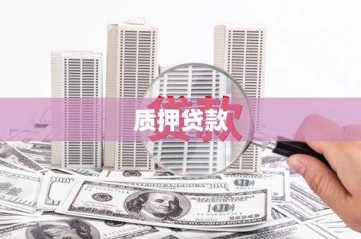 海端质押贷款