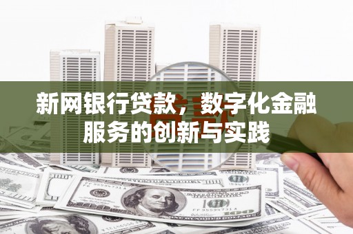 海端新网银行贷款，数字化金融服务的创新与实践