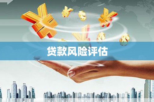 海端贷款风险评估