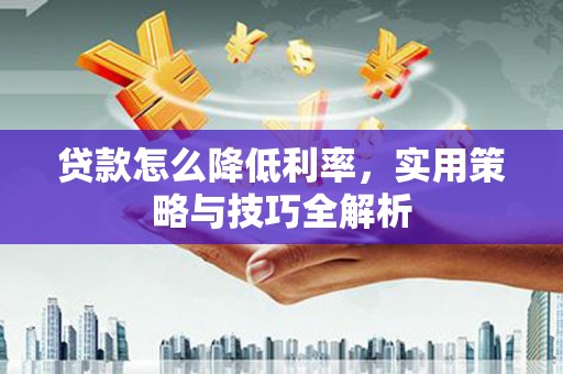 海端贷款怎么降低利率，实用策略与技巧全解析