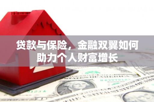 海端贷款与保险，金融双翼如何助力个人财富增长