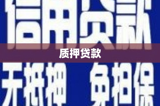海端质押贷款