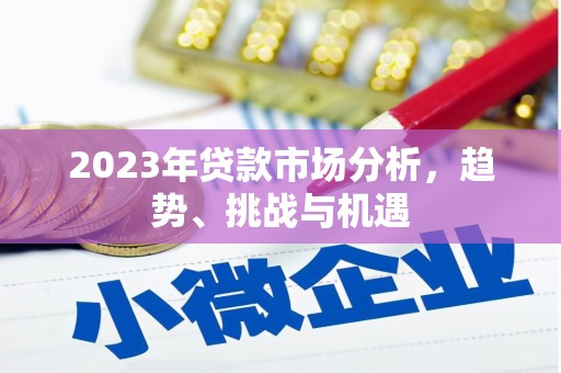 海端2023年贷款市场分析，趋势、挑战与机遇
