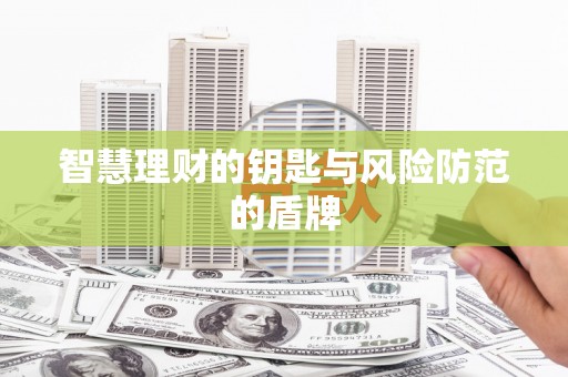 海端智慧理财的钥匙与风险防范的盾牌