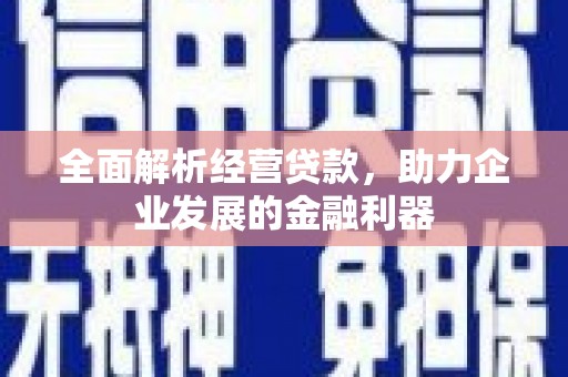 海端全面解析经营贷款，助力企业发展的金融利器