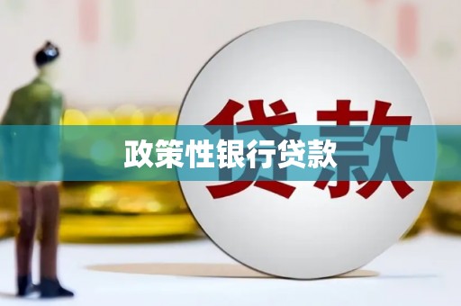 海端政策性银行贷款