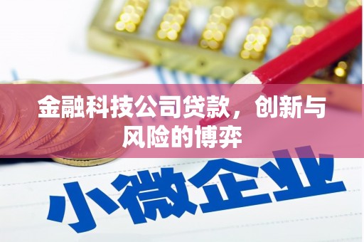 海端金融科技公司贷款，创新与风险的博弈