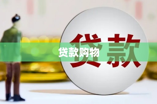 海端贷款购物