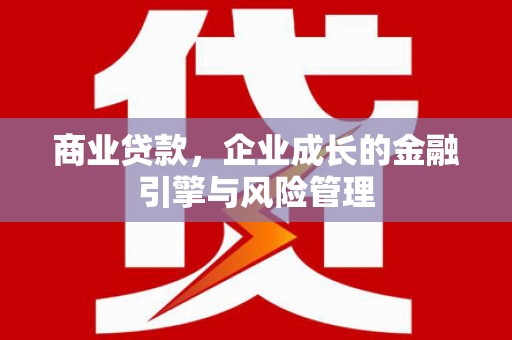 海端商业贷款，企业成长的金融引擎与风险管理