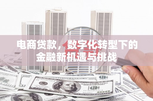 海端电商贷款，数字化转型下的金融新机遇与挑战