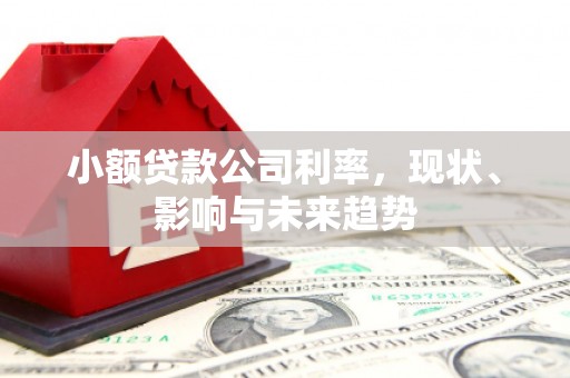 海端小额贷款公司利率，现状、影响与未来趋势