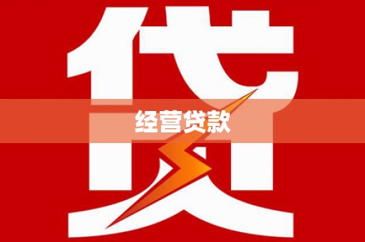 海端经营贷款