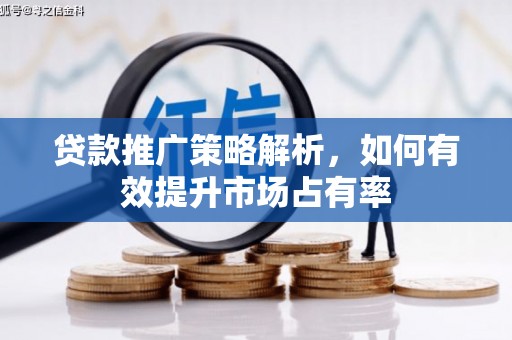 海端贷款推广策略解析，如何有效提升市场占有率