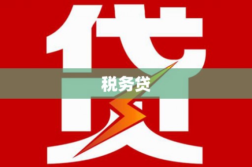 海端税务贷