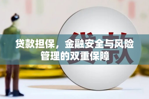 海端贷款担保，金融安全与风险管理的双重保障