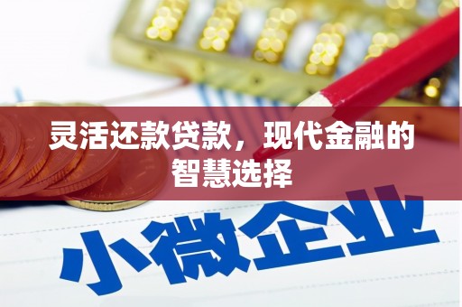 海端灵活还款贷款，现代金融的智慧选择