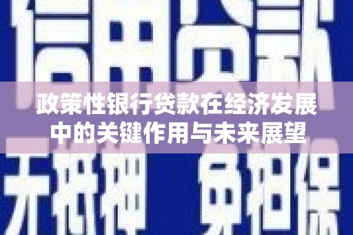 海端政策性银行贷款在经济发展中的关键作用与未来展望