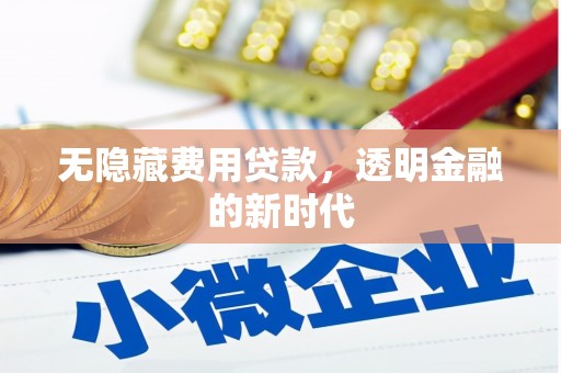海端无隐藏费用贷款，透明金融的新时代