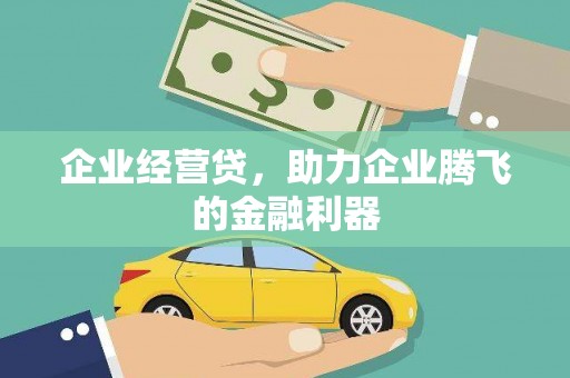 海端企业经营贷，助力企业腾飞的金融利器