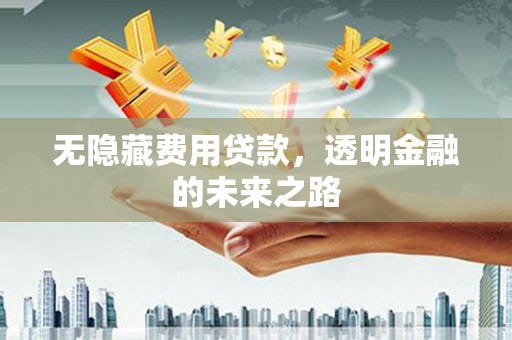 海端无隐藏费用贷款，透明金融的未来之路