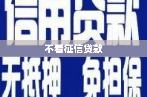 海端不看征信贷款
