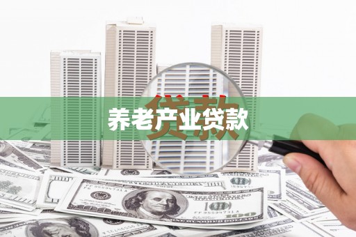 海端养老产业贷款