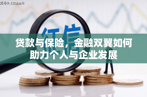 海端贷款与保险，金融双翼如何助力个人与企业发展