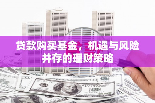 海端贷款购买基金，机遇与风险并存的理财策略