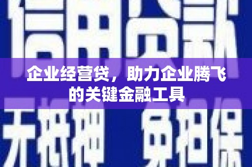 海端企业经营贷，助力企业腾飞的关键金融工具