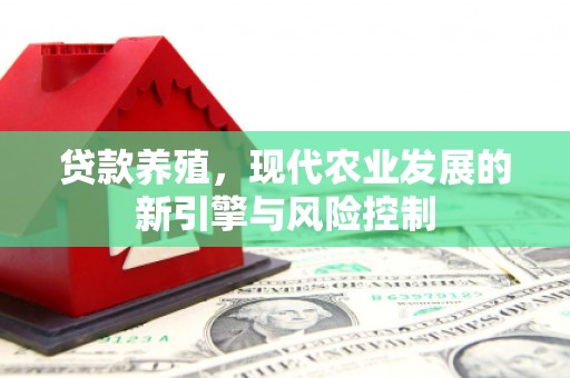 海端贷款养殖，现代农业发展的新引擎与风险控制