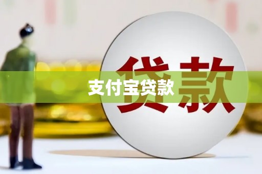 海端支付宝贷款