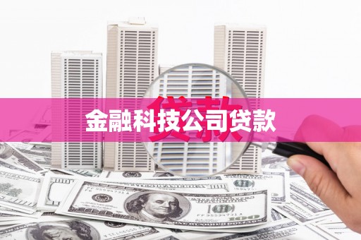 海端金融科技公司贷款